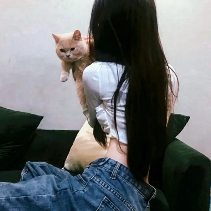 施密特的猫